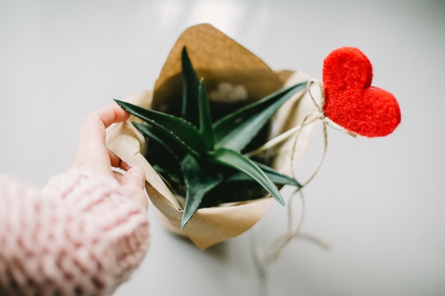 Valetines Day - Have we forgotten to first love ourselves-Peace Inside- Mental Health and Wellbeing centre- Inside Blog - Anxiety- Relationships - Mental Health Blog- Anger Management- Sexuality